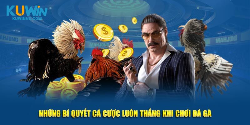 Những bí quyết cá cược luôn thắng khi chơi đá gà