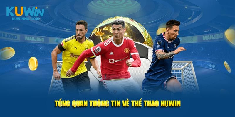 Tổng quan vài điều về thể thao Kuwin