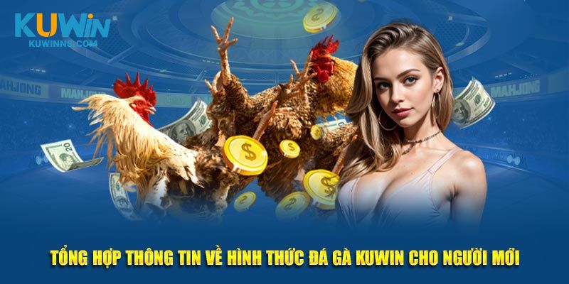 Tổng hợp thông tin về hình thức đá gà Kuwin cho người mới