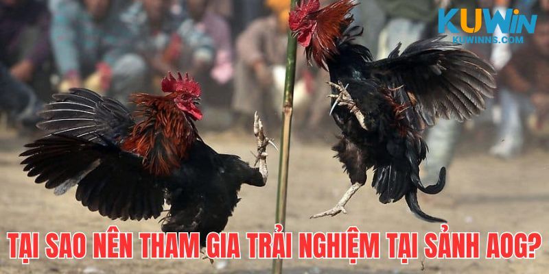 Nền tảng giải trí với sự uy tín từ mặt sản phẩm đến dịch vụ 